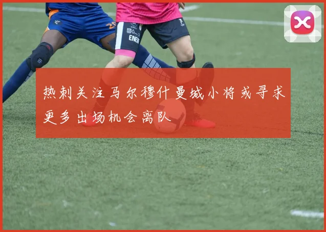 热刺关注马尔穆什曼城小将或寻求更多出场机会离队
